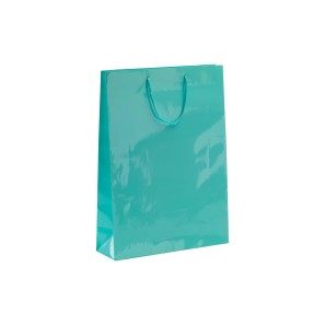 Aqua Laminated Gloss Paper Carrier Bags